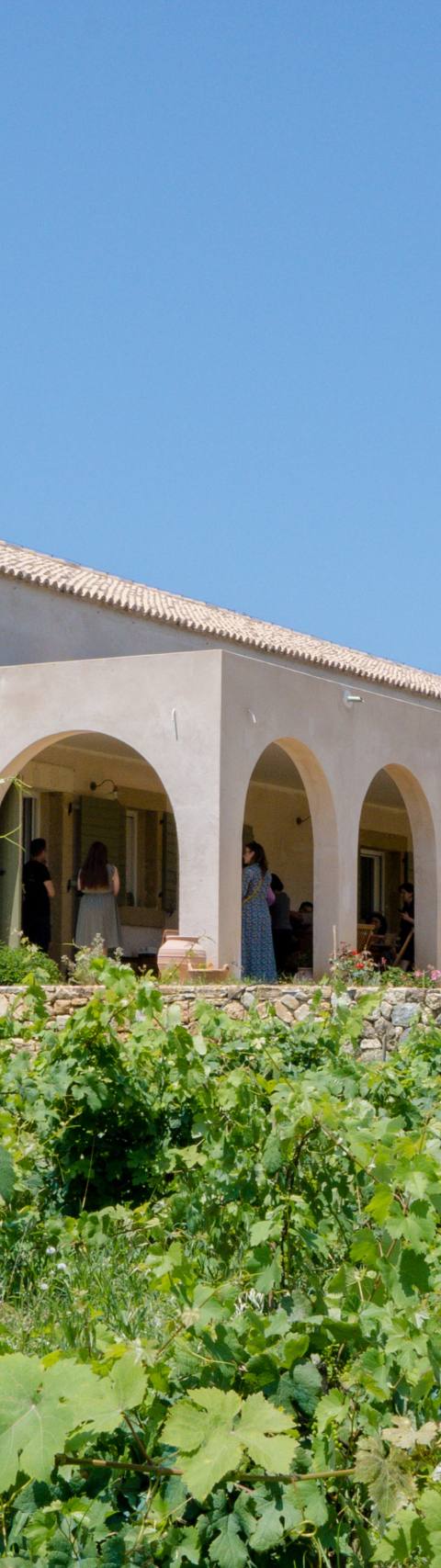 Petrakopoulos Wines
