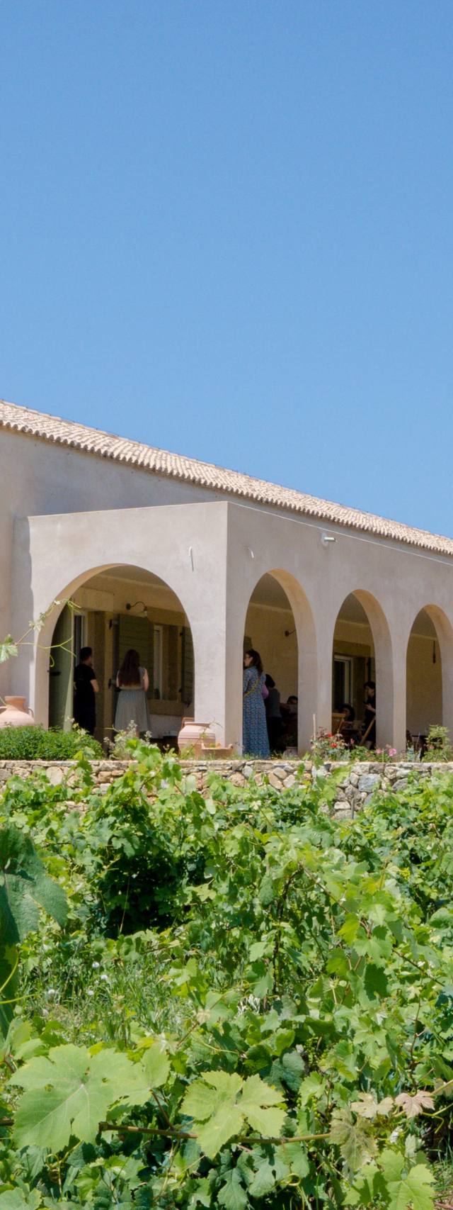 Petrakopoulos Wines