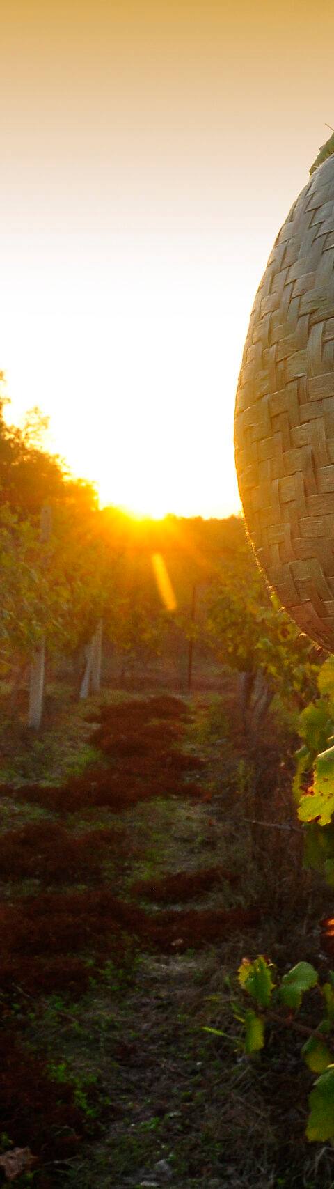 Pontiglio Winery