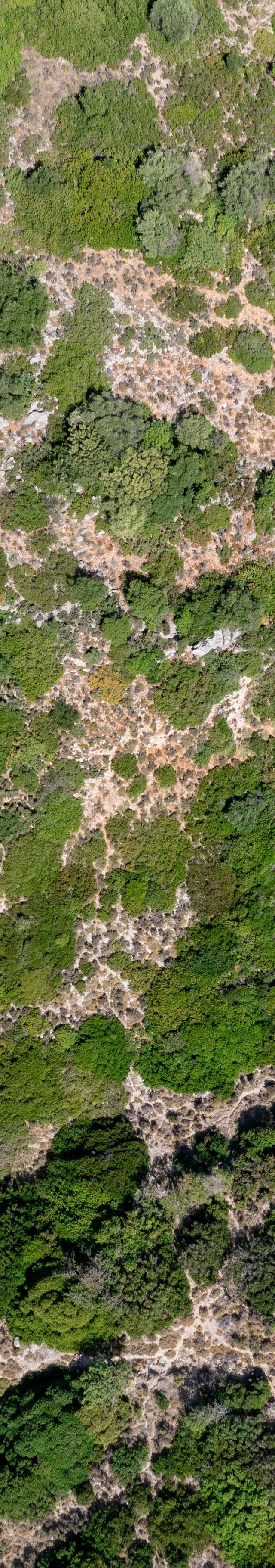 Παραλία Γιδάκι
