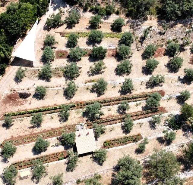 Lefkada Micro Farm