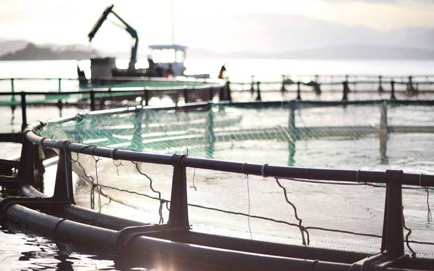 Corfu Sea Farm