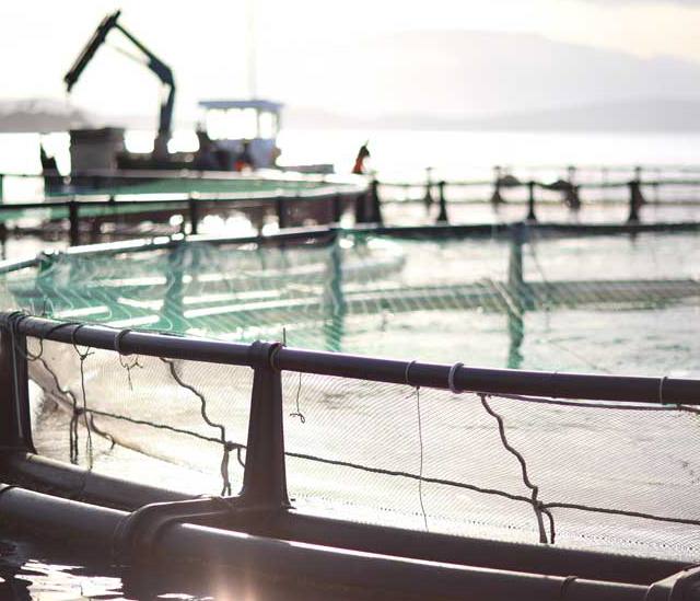 Corfu Sea Farm